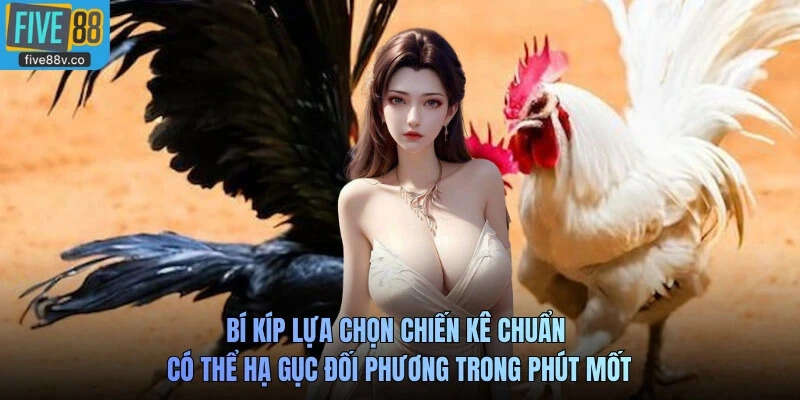 đầu. Ngược lại, những chiến kê khác có lối phòng thủ phản công, chờ thời cơ để tung đòn hiểm.Bí kíp lựa chọn chiến kê chuẩn có thể hạ gục đối phương trong phút mốt