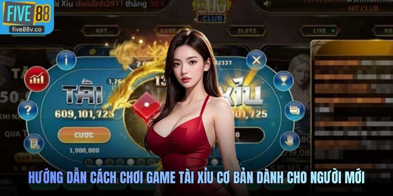 Hướng dẫn cách chơi game tài xỉu cơ bản dành cho người mới